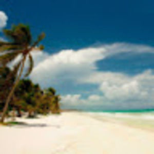 Meet your Posher, Ally